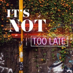It's Not Too Late (feat. Shelly Moore)