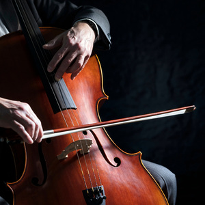 Serene Symphony for Sleep