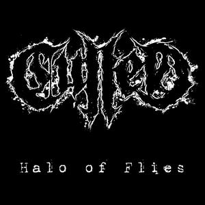 Halo Of Flies