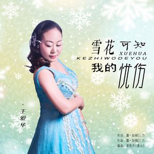 雪花可知我的忧伤 (DJ版)
