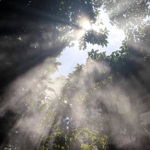 灵动琴音下的活力旅行日志