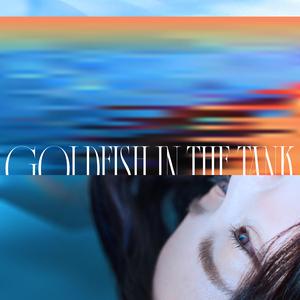 差一点的我们 (feat. The Crane)