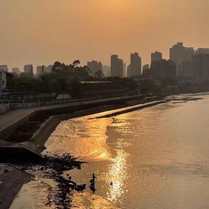 晚风（Cover：Copy）