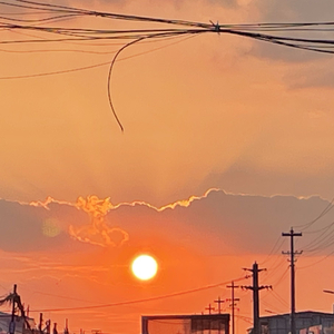 未凋零的那片叶