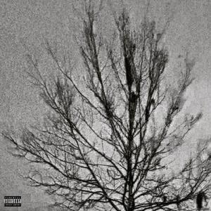 BEEN DIS WAYY? (feat. DoTheMostt)