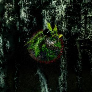 Nafs (Acoustic) (Acoustic) (Acoustic)