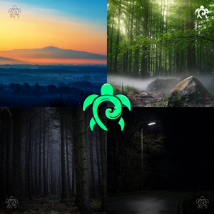 as sorrow settles in your heart