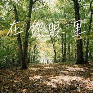 在你眼里
