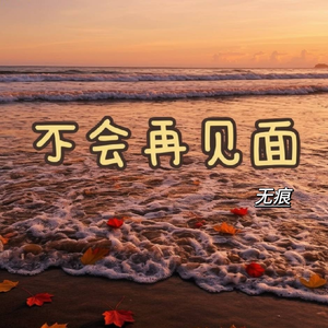 不会再见面