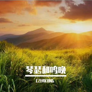 寒衾伴孤影