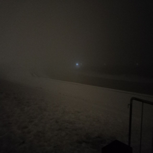Cold Winter