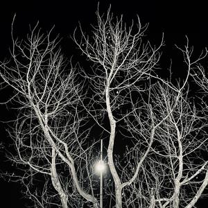 你小行星带里的他