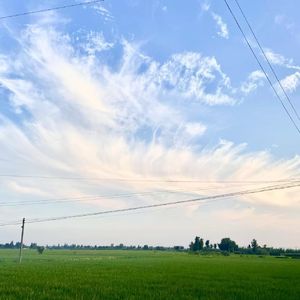 旧照片旁的十六分音符