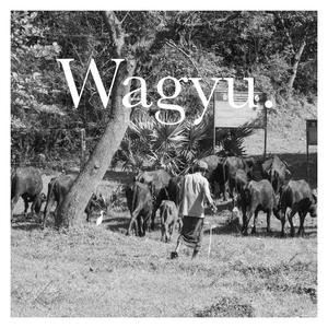 Wagyu (feat. Hammy & Marz the Reject)