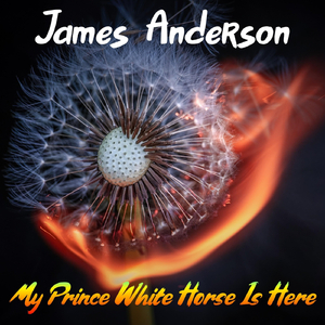 My Prince White Horse Is Here