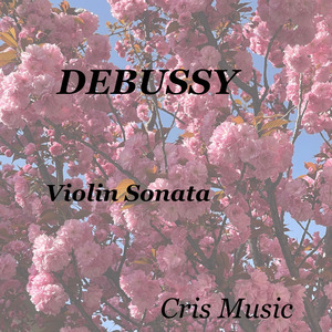 Violin Sonata: 1. Allegro vivo