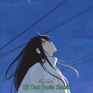 Dj Cest Lavie Remix