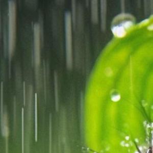 Piove
