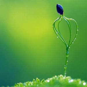 Unwilling to let go