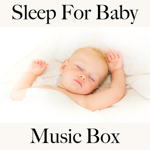 Cuckoo, Cuckoo, Comes a Voice from the Forest