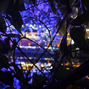 算了是成年人最后的礼貌