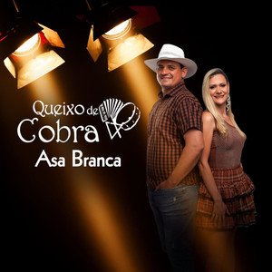 Asa Branca (Cover)