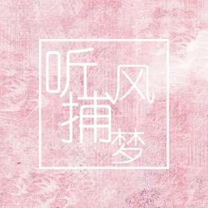 听风捕梦