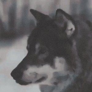 Dj-Ataman-polkonik（Dj-Ataman remix）