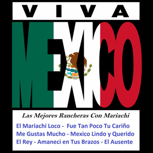 Fue Tan Poco Tu Cariño