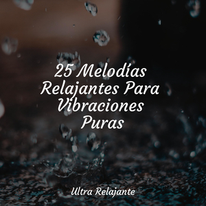 Atrayendo Sonidos De Serenidad