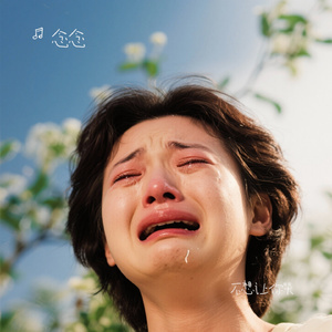 不想让你哭 （Cover 王强）