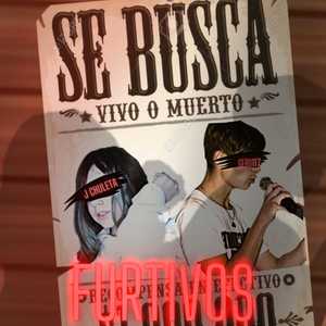Furtivos
