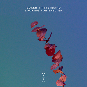 Looking For Shelter (Extended Mix)