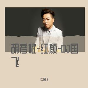 胡彦斌-红颜-DJ国飞