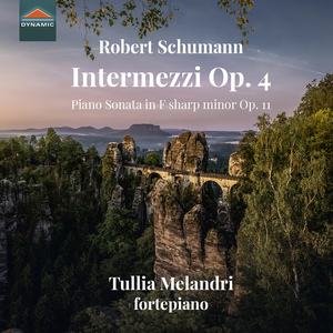 Piano Sonata No. 1 in F-Sharp Minor, Op. 11:IV. Finale: Allegro un poco maestoso