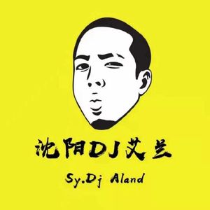 沈阳DJ艾兰独家制作东方斯卡拉2023经典跳舞大碟（沈阳DJ艾兰 remix）