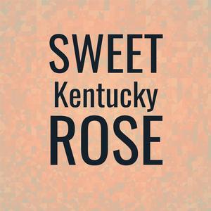 I Don't Hurt Anymore