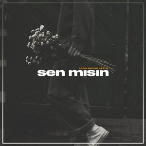 Senmisin