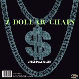 7 Dollar Chain