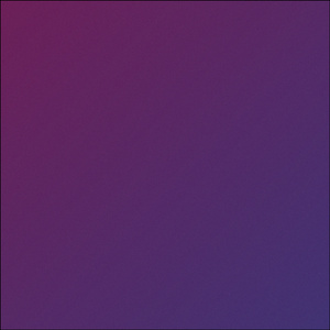 12 JEWELS (Cover)