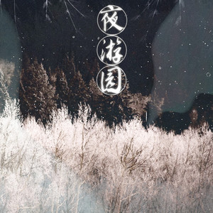 夜游园（翻自 云の泣/Aki阿杰）