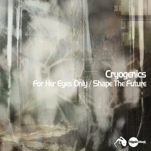 Shape The Future (Original Mix)