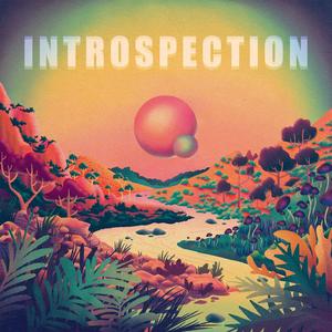 introspection part.1