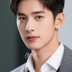 分手  (DJ九零版) (Cover 小阿枫)