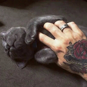 祖先森RMix-kozmunqagim Rmix（祖先森RMix remix）