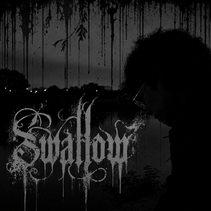 swallow
