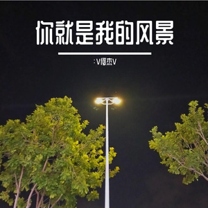 你就是我的风景