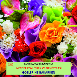 Gözlerine Bakarken (Kendi Tango-Serenadıyla)