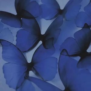 Kiss u babe tonight（Prod by SCORPION）