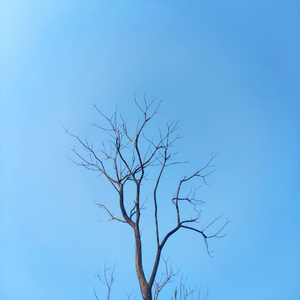 我们总差点缘分